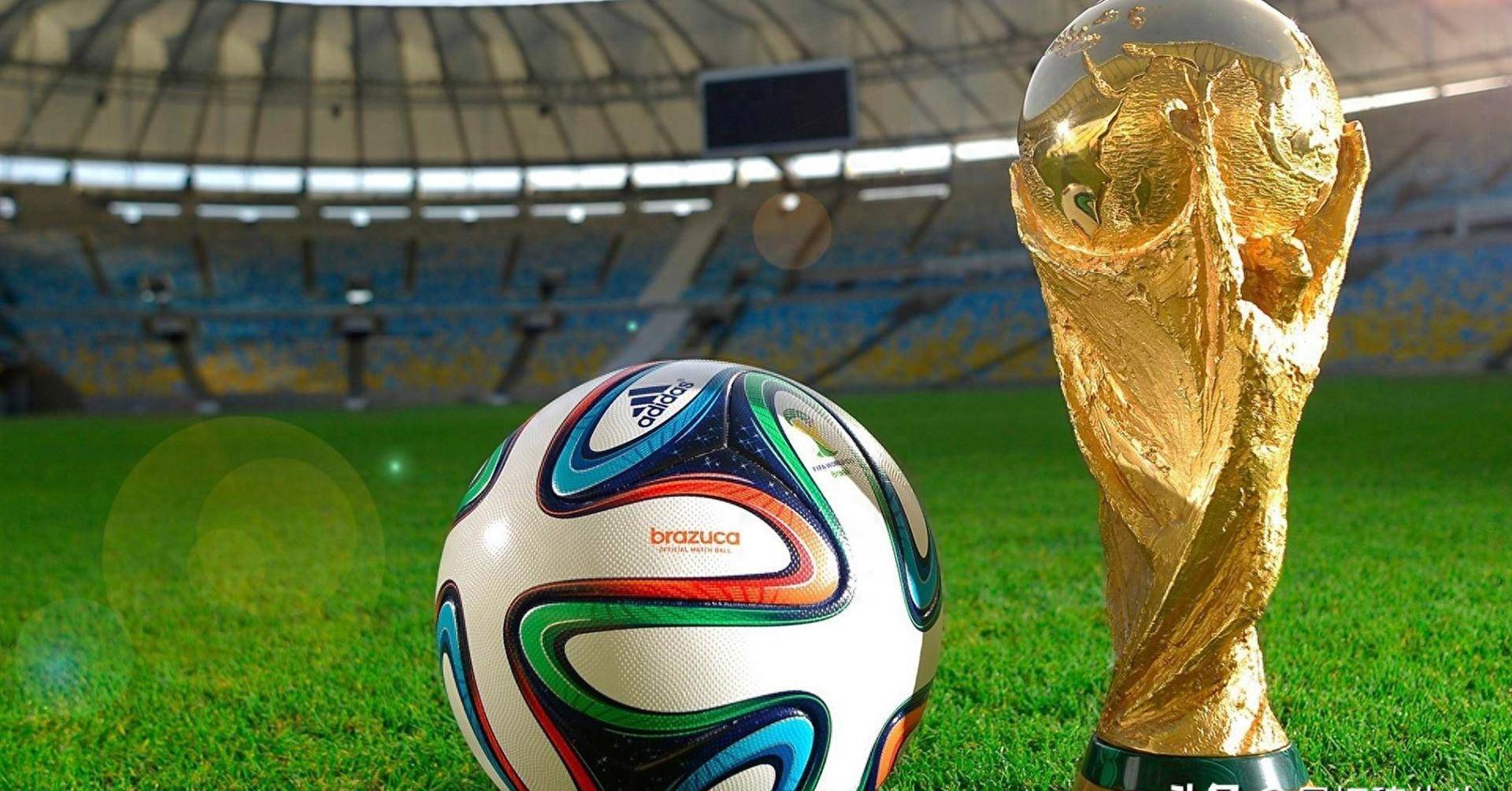 王钰栋与毛 王钰栋与毛